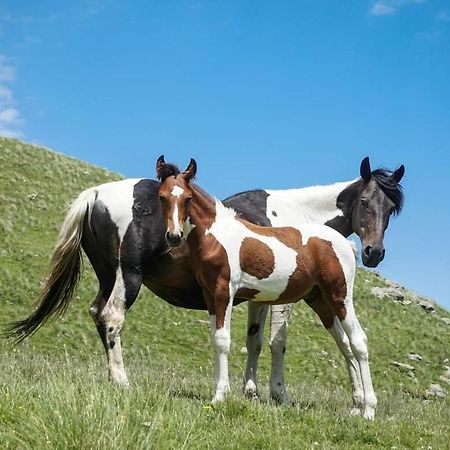 Mariami Hotel Kazbegi Kültér fotó