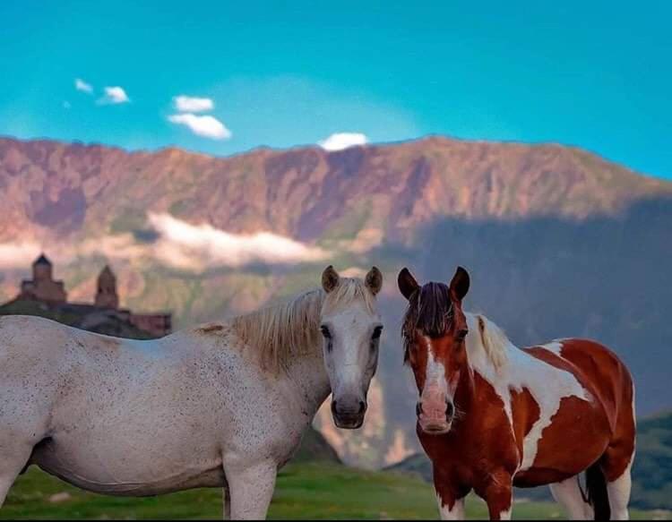 Mariami Hotel Kazbegi Kültér fotó