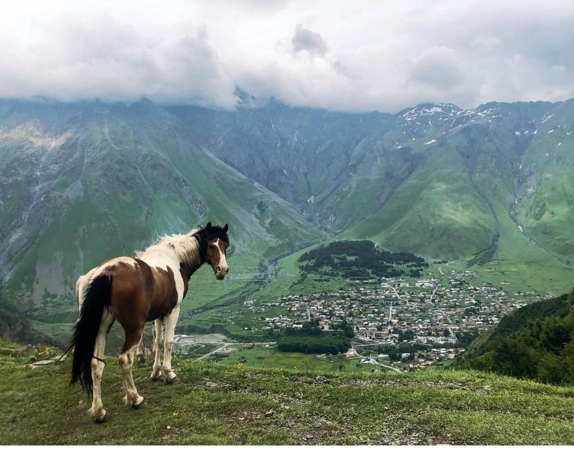 Mariami Hotel Kazbegi Kültér fotó