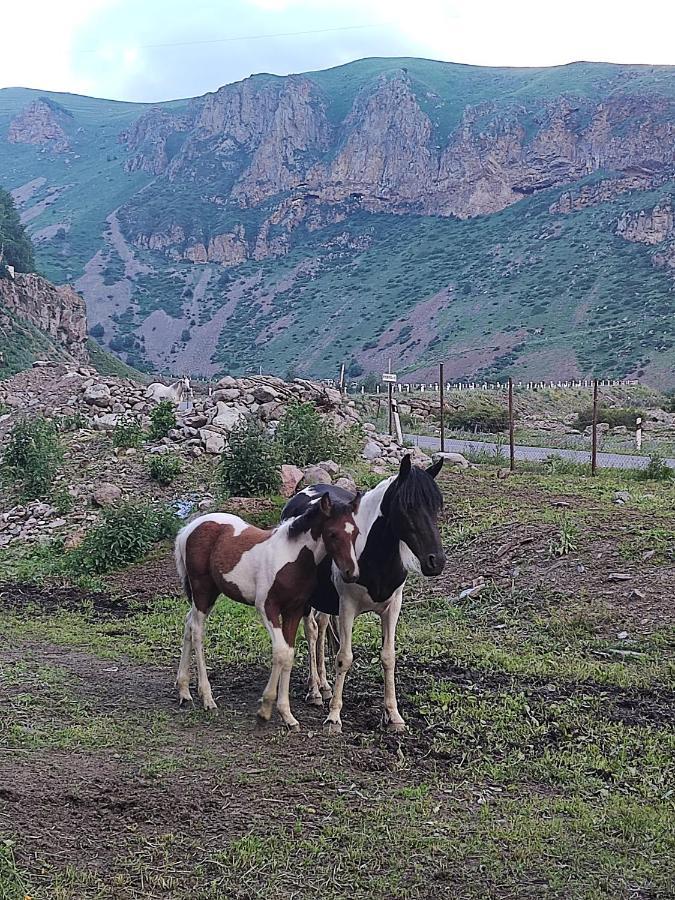 Mariami Hotel Kazbegi Kültér fotó